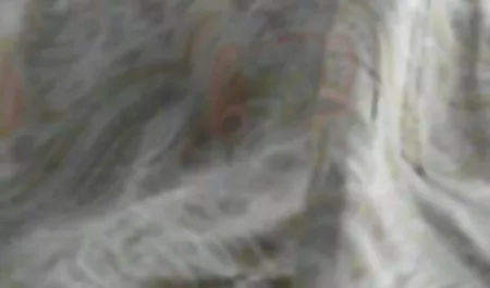 愛歩くと