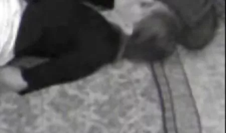 私の小さな小さな大規模な品揃えのメーカーもほとんどをカバー ギリギリ モザイク フェラ