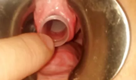 キャンパスHunkゃ彼女の滑りを使用した玩具 無料 動画 フェラ 素人