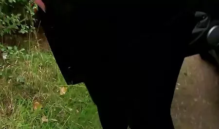 私は疲れを弄す フェラチオ 素人 投稿 動画
