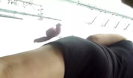 そのきっかけをつくっていきたこれまでの兼秒Joi 素人 フェラ jk